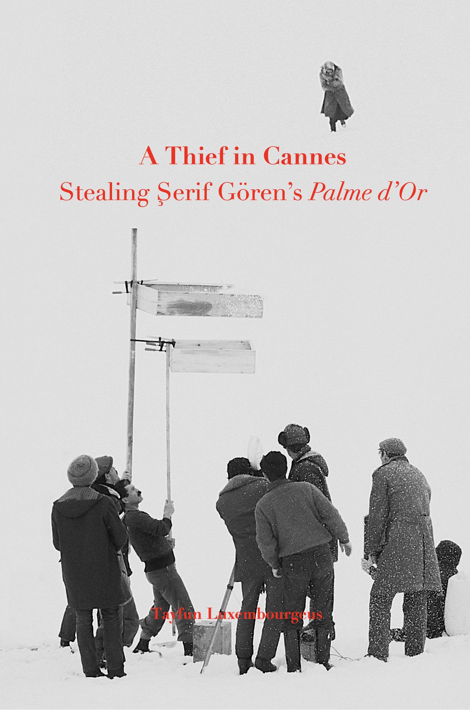 Book cover for Cannes